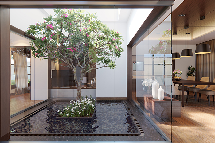 Interior  - S House Architects